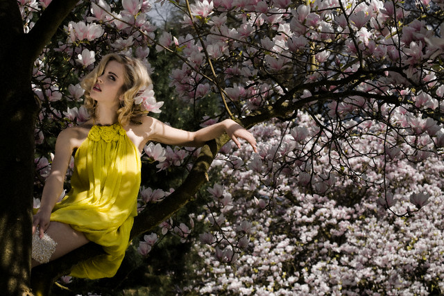 Stylish woman sitting in tree